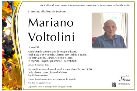 Mariano Voltolini